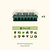 4-Pack Seed Starting Bundle with Lid - 10" x 20" | Vego Garden