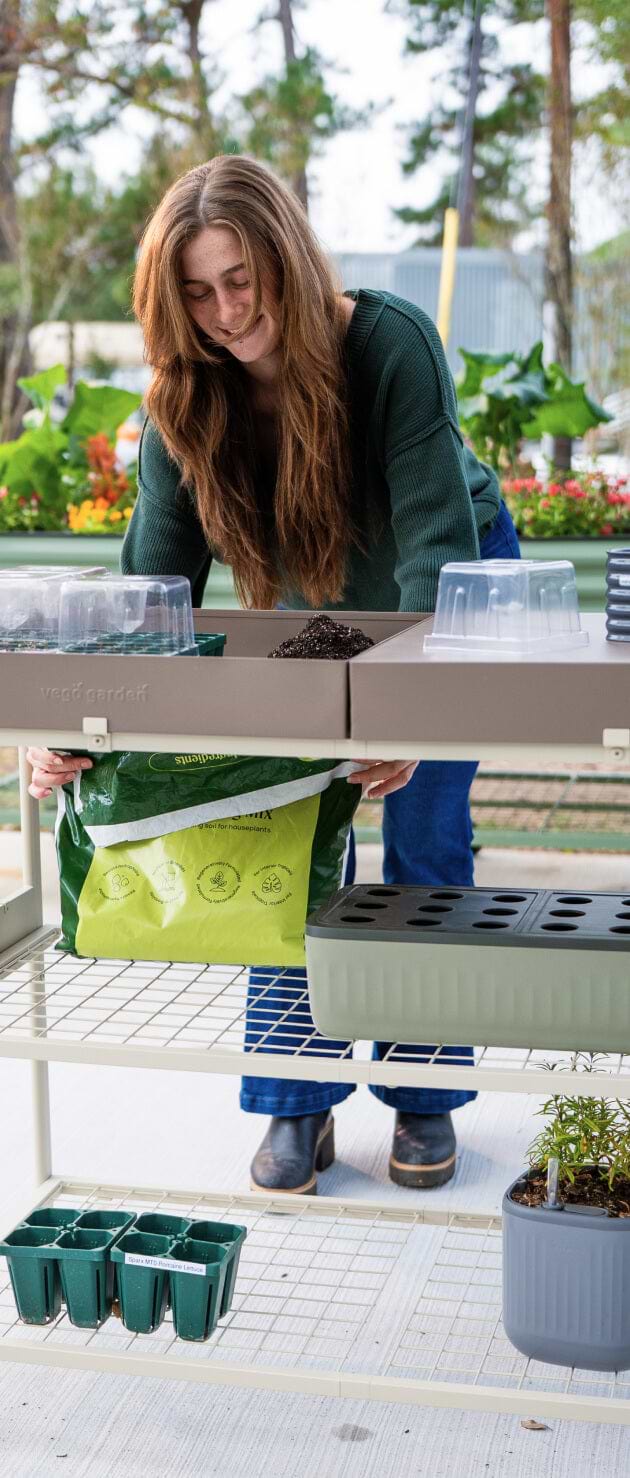 Vego garden beds
