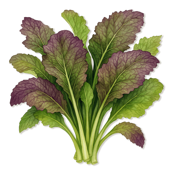 Vego garden beds