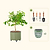 30-Gallon Rolling Planter with Solar Lights & Tools | Vego Garden