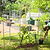 Wall Trellis System