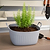 Vego FlexTrug™ - 4 Gallon | Vego Garden
