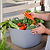 Vego FlexTrug™ - 8 Gallon | Vego Garden | Vego Garden