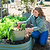 Vego FlexTrug™ - 8 Gallon | Vego Garden | Vego Garden