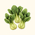Little Shanghai Bok Choy Seeds | Vego Garden