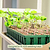 2-Tier Grow Light Garden with 1020 Tray & Herb Planter | Vego Garden