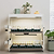 2-Tier Tabletop Grow Light Garden Starter Kit | Vego Garden