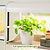 4-Tier Pro Grow Light Garden Kit | Vego Garden