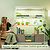 4-Tier Pro Grow Light Garden Kit | Vego Garden