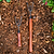 Heritage Garden Bed Cultivator
