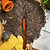 Heritage Garden Bed Cultivator
