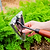 Heritage Garden Bed Multi Function Hoe