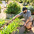 Heritage Garden Bed Multi Function Hoe
