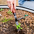 30-Gallon Rolling Planter with Heritage Tool Kit | Vego Garden