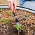 All-in-One Elevated Garden Bed Starter Kit | Vego Garden
