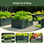 Vego Garden Modern Metal Raised Garden Bed