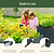 Vego Garden Modern Metal Raised Garden Bed
