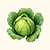 Copenhagen Market Cabbage Seeds