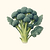 Organic Di Cicco Broccoli Seeds