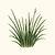 Organic Garlic Chives Seeds