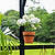 6" Pot Holder  - Set of 3