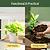 Vego Garden 2 Tier Grow Light Garden Lifestyle