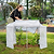 Mesh Cover System for Self-Watering Elevated Bed