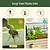 Vego-Garden-ElevatedBedTrellis_Cover