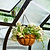 Greenhouse Hanging Kit