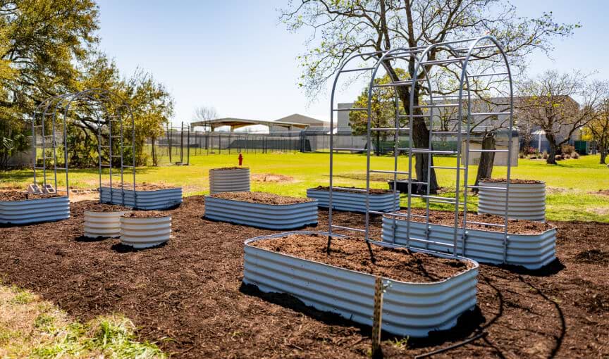 Vego garden beds