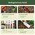 Vego Heritage Cultivator | Vego Garden | Vego Garden