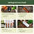 Vego Heritage Scoop | Vego Garden