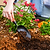 Vego Heritage Scoop | Vego Garden