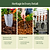 Vego Heritage Tool Kit (4-Piece Set) | Vego Garden