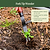 Vego Heritage Tool Kit (4-Piece Set) | Vego Garden