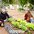 Vego Irrigation Kit | Vego Garden