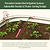 Vego Garden - Irrigation System