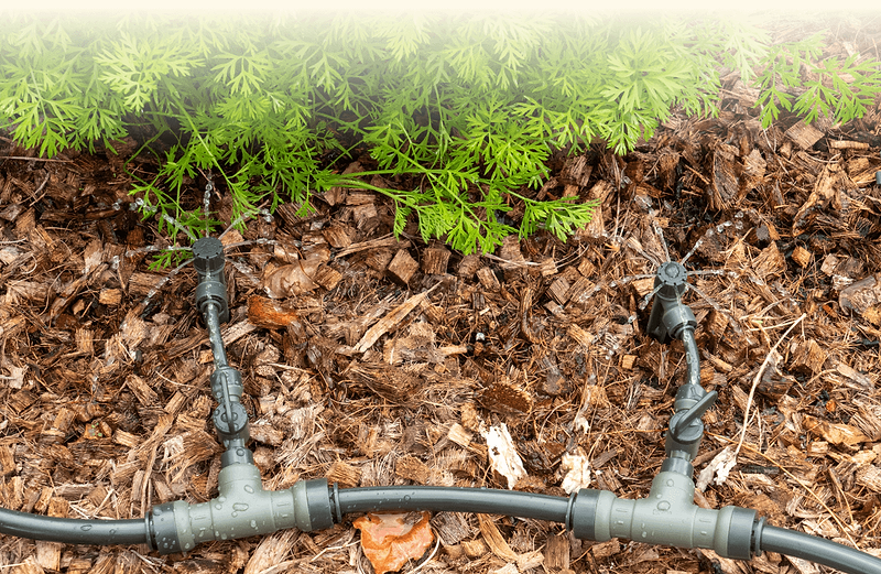 Vego garden beds