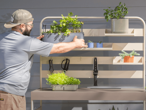 Vego garden beds