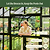 Vego Victorian Greenhouse - 10.5ft Wide