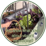 Vego garden beds