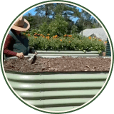 Vego garden beds
