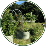 Vego garden beds
