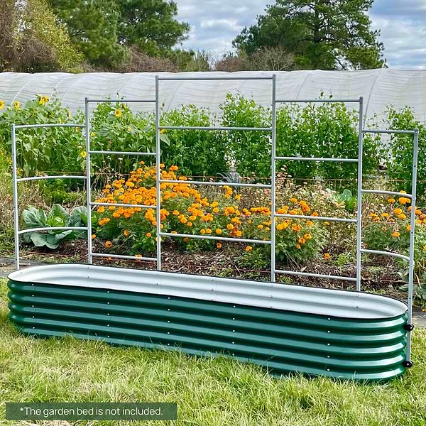 Garden Trellis Systems for Raised Beds | Vego Garden