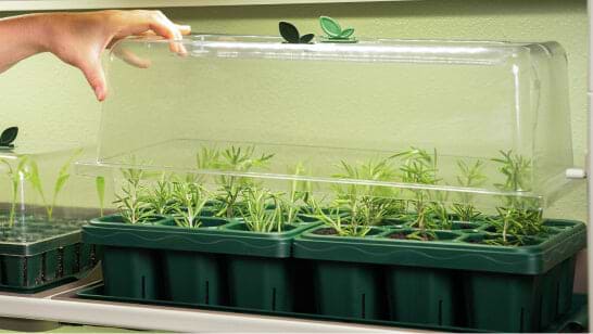 Vego garden beds