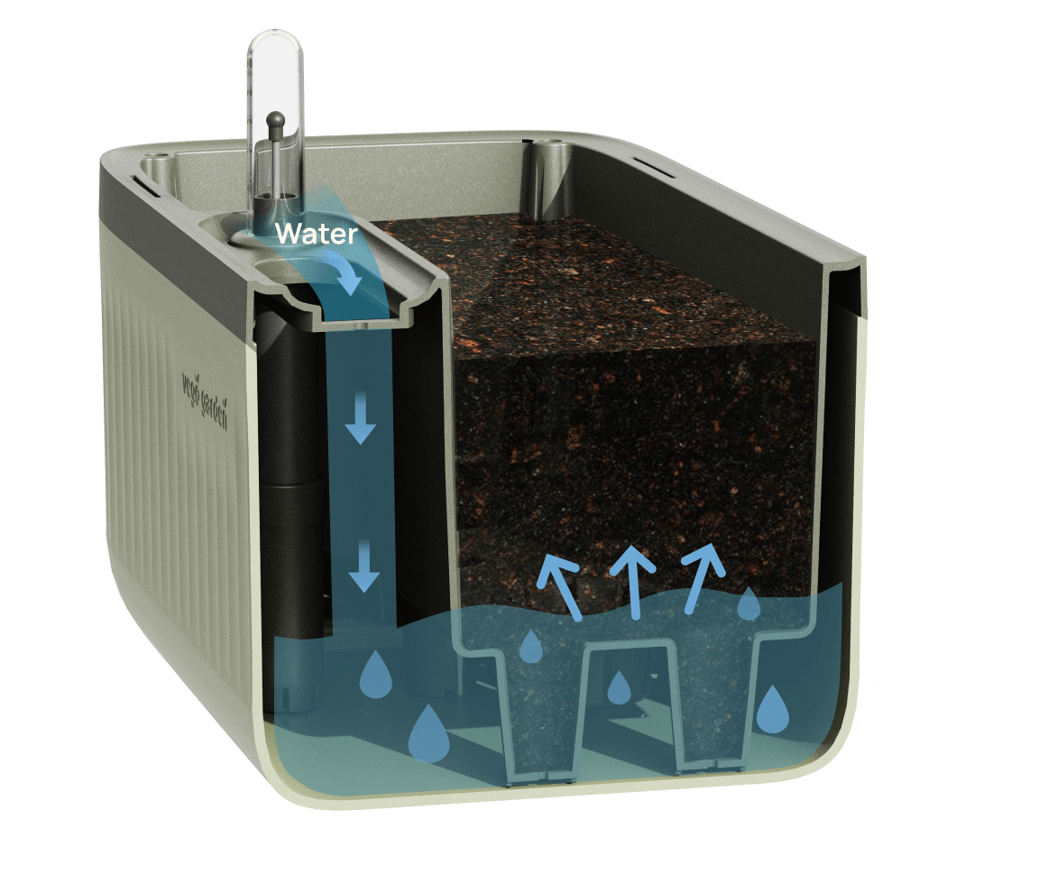 Watering System Herb