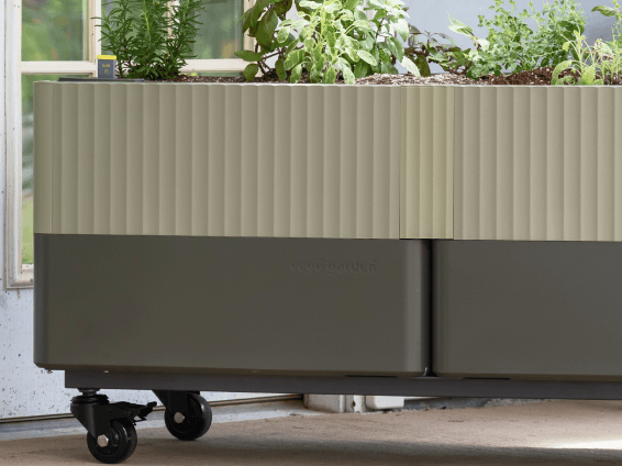 Vego garden beds
