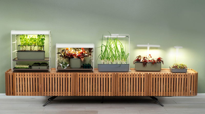 Vego garden beds