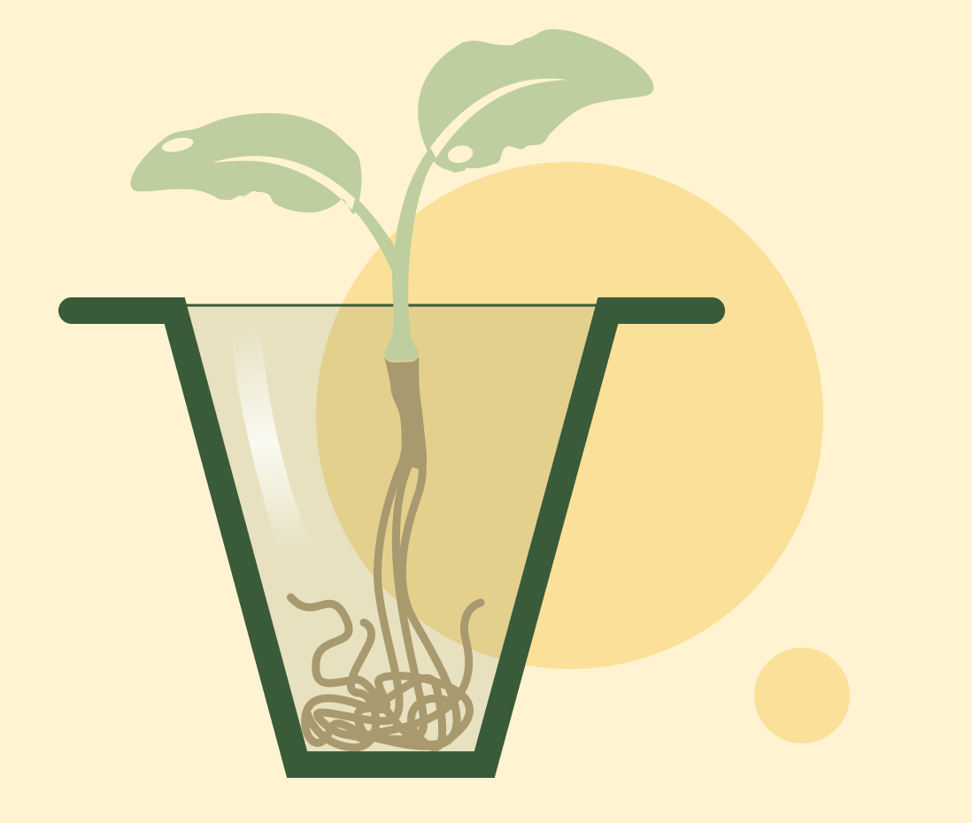 Why Air Pruning