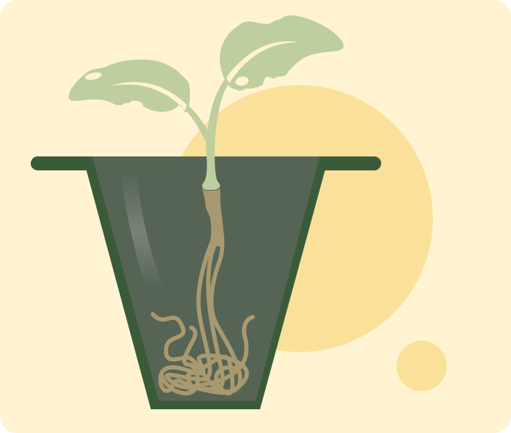 Why Air Pruning